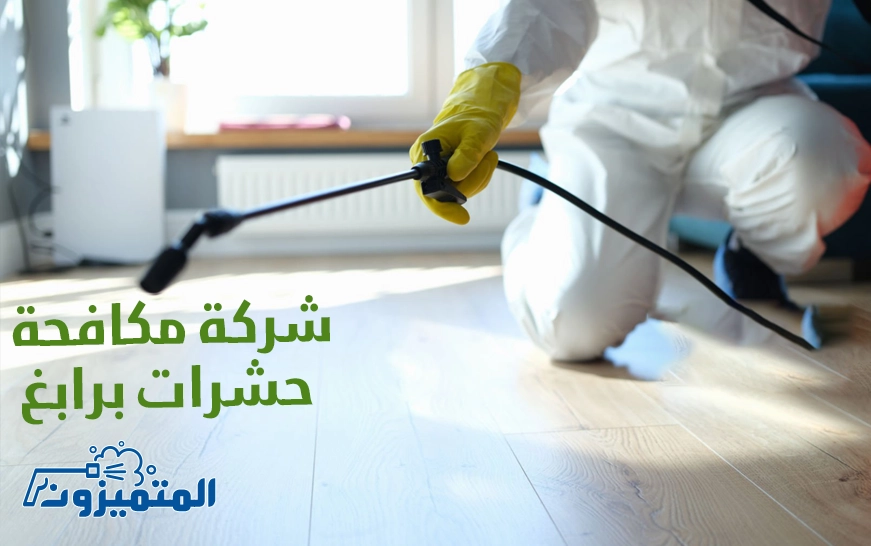 شركة مكافحة حشرات برابغ